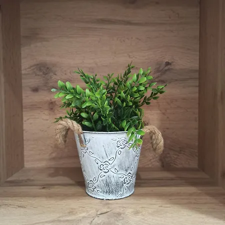 Milutinovic Lägenhet *