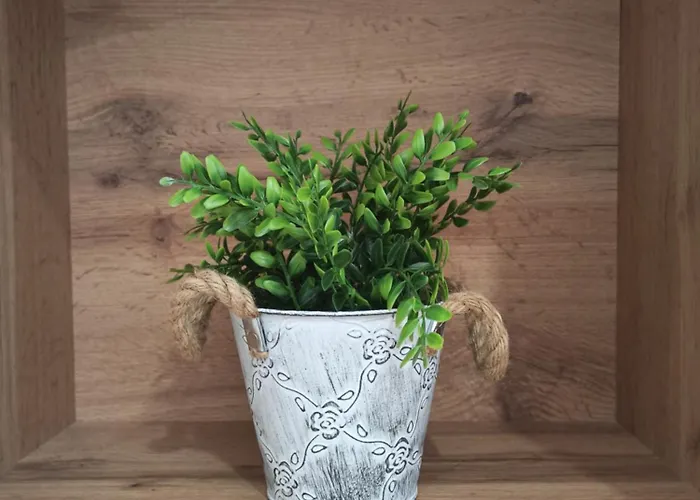 Milutinovic דירה *