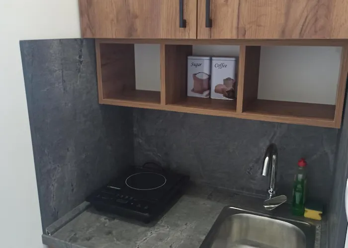 Milutinovic דירה